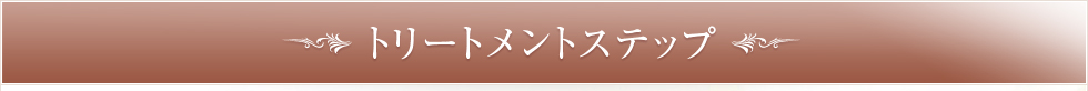 トリートメントステップ