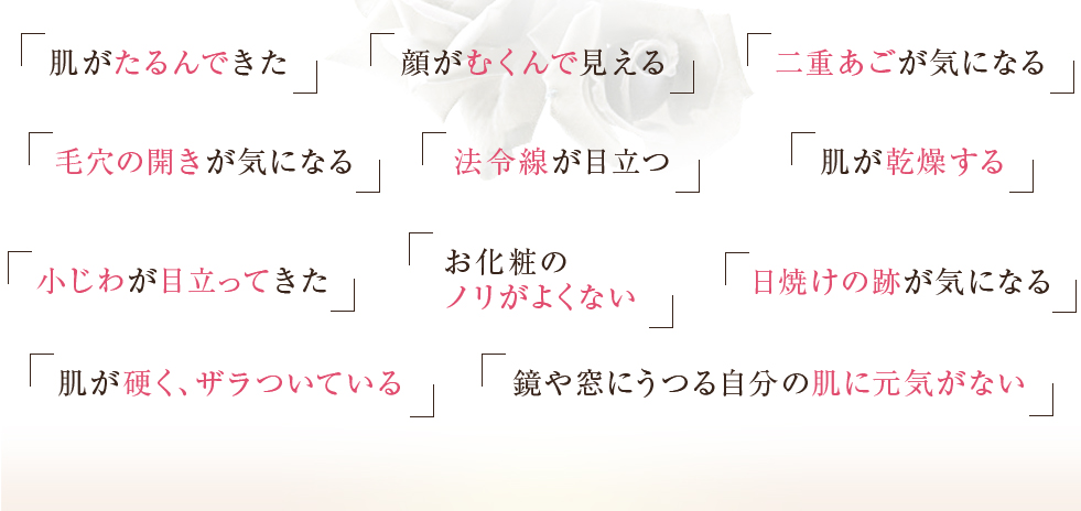 肌がたるんできた顔がむくんで見える二重あごが気になる毛穴の開きが気になる法令線が目立つ肌が乾燥する小じわが目立ってきたお化粧のノリがよくない日焼けの跡が気になる肌が硬く、ザラついている鏡や窓にうつる自分の肌に元気がない