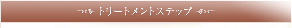 トリートメントステップ
