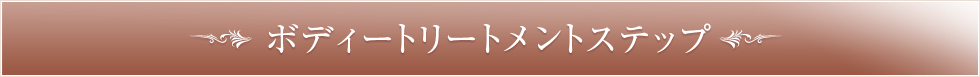ボディートリートメントステップ