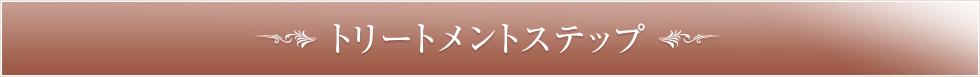 トリートメントステップ