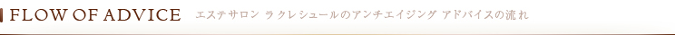 FLOW OF ADVICEエステサロン ラクレシュールのアンチエイジング アドバイスの流れ