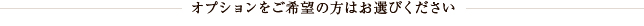 オプションをご希望の方はお選びください