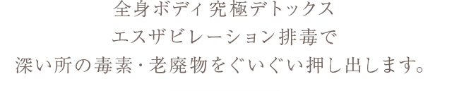 全身ボディ究極デトックス エスザビレーション排毒で 深い所の毒素・老廃物をぐいぐい押し出します。