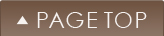 pagetop